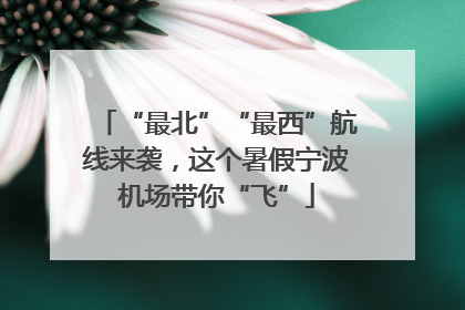 “最北”“最西”航线来袭，这个暑假宁波机场带你“飞”
