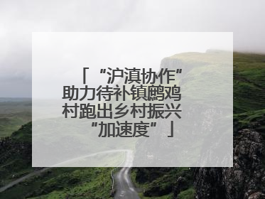 “沪滇协作”助力待补镇鹧鸡村跑出乡村振兴“加速度”
