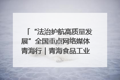 “法治护航高质量发展”全国重点网络媒体青海行｜青海食品工业协会：架起“青字号”美食的产业化桥梁