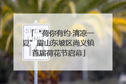 “荷你有约·清凉一夏”眉山东坡区尚义镇首届荷花节启幕