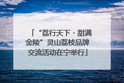 “荔行天下・甜满金陵”灵山荔枝品牌交流活动在宁举行