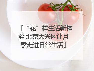 “花”样生活新体验 北京大兴区让月季走进日常生活