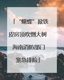 “蝴蝶”掀铁皮房顶吹倒大树 海南消防部门紧急排险