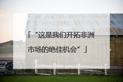 “这是我们开拓非洲市场的绝佳机会”