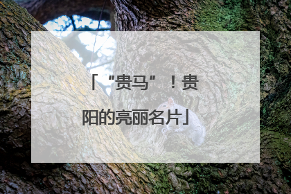 “贵马”！贵阳的亮丽名片