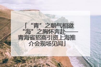“青”之朝气相邀 “海”之胸怀奔赴——青海省招商引资上海推介会现场见闻