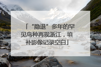 “隐退”多年的罕见鸟种再现浙江，填补影像记录空白