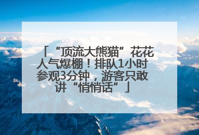 “顶流大熊猫”花花人气爆棚！排队1小时参观3分钟，游客只敢讲“悄悄话”