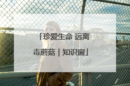 珍爱生命 远离毒蘑菇｜知识窗