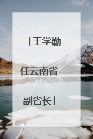 王学勤任云南省副省长