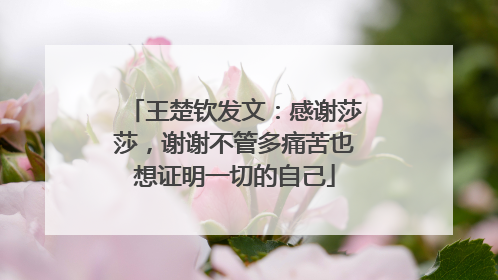 王楚钦发文：感谢莎莎，谢谢不管多痛苦也想证明一切的自己