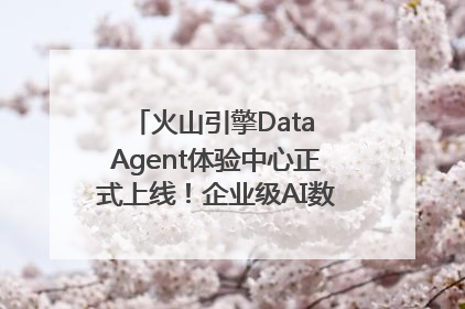 火山引擎Data Agent体验中心正式上线！企业级AI数据专家触手可及