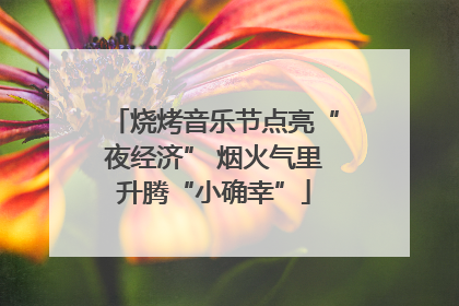 烧烤音乐节点亮“夜经济” 烟火气里升腾“小确幸”