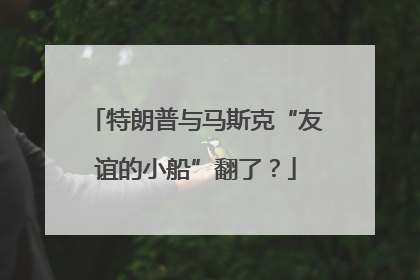 特朗普与马斯克“友谊的小船”翻了？
