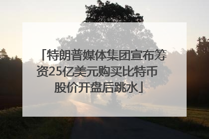 特朗普媒体集团宣布筹资25亿美元购买比特币 股价开盘后跳水
