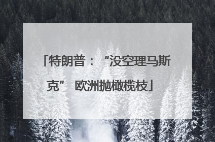 特朗普：“没空理马斯克” 欧洲抛橄榄枝