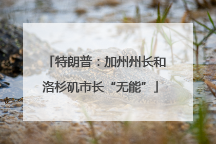 特朗普：加州州长和洛杉矶市长“无能”