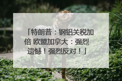 特朗普：钢铝关税加倍 欧盟加拿大：强烈遗憾！强烈反对！