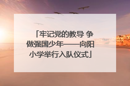 牢记党的教导 争做强国少年——向阳小学举行入队仪式