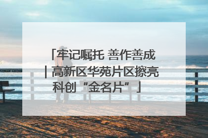 牢记嘱托 善作善成｜高新区华苑片区擦亮科创“金名片”