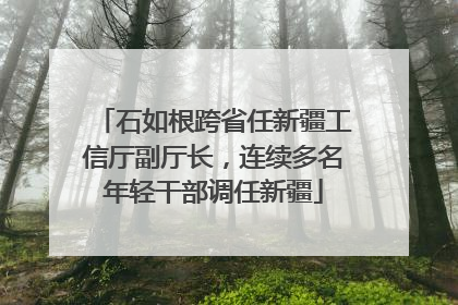 石如根跨省任新疆工信厅副厅长，连续多名年轻干部调任新疆
