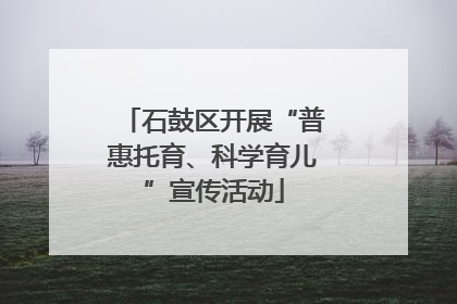 石鼓区开展“普惠托育、科学育儿”宣传活动