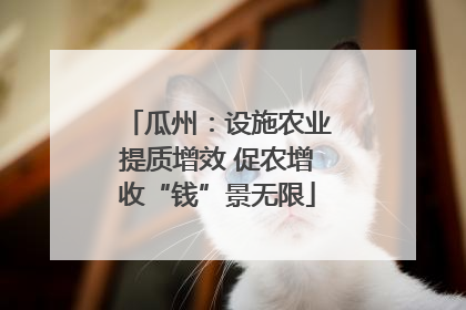 瓜州：设施农业提质增效 促农增收“钱”景无限
