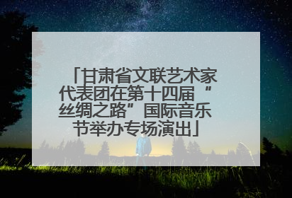 甘肃省文联艺术家代表团在第十四届“丝绸之路”国际音乐节举办专场演出