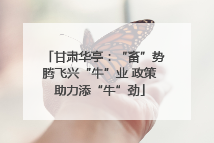 甘肃华亭：“畜”势腾飞兴“牛”业 政策助力添“牛”劲