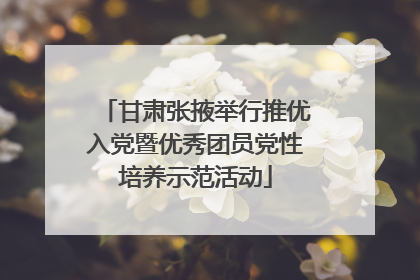 甘肃张掖举行推优入党暨优秀团员党性培养示范活动