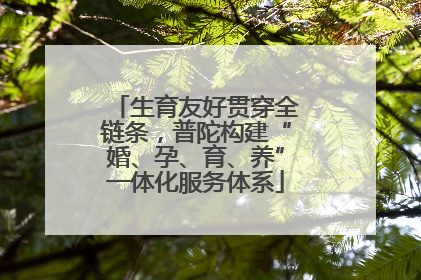 生育友好贯穿全链条，普陀构建“婚、孕、育、养”一体化服务体系