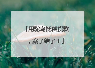 用鸵鸟抵偿货款，案子结了！