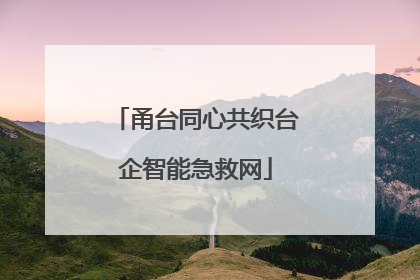 甬台同心共织台企智能急救网