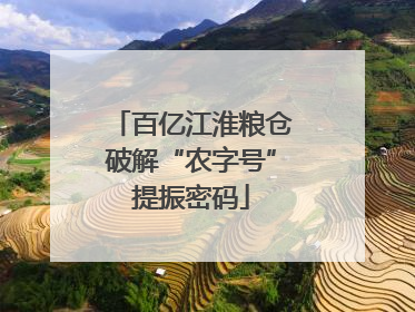 百亿江淮粮仓破解“农字号”提振密码