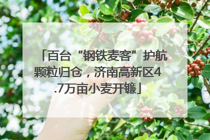 百台“钢铁麦客”护航颗粒归仓，济南高新区4.7万亩小麦开镰
