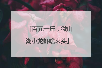 百元一斤，微山湖小龙虾啥来头