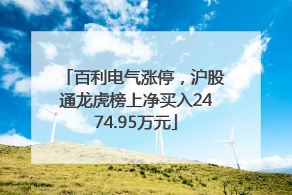 百利电气涨停，沪股通龙虎榜上净买入2474.95万元