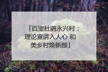 百里杜鹃永兴村：理论宣讲入人心 和美乡村焕新颜