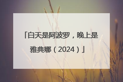 白天是阿波罗，晚上是雅典娜（2024）