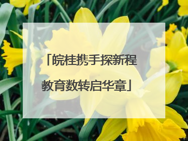 皖桂携手探新程 教育数转启华章