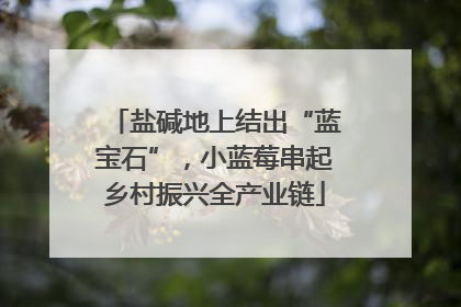 盐碱地上结出“蓝宝石”，小蓝莓串起乡村振兴全产业链