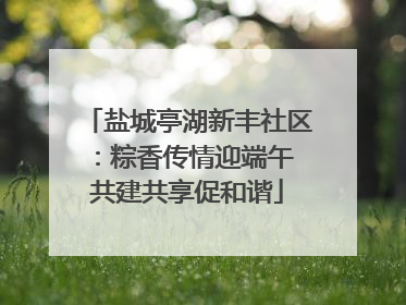 盐城亭湖新丰社区：粽香传情迎端午 共建共享促和谐