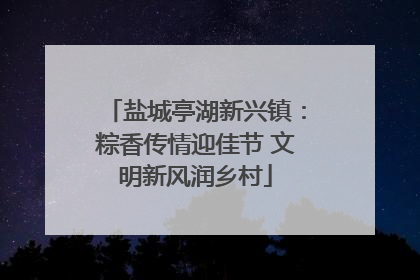 盐城亭湖新兴镇：粽香传情迎佳节 文明新风润乡村