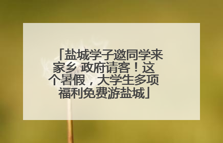 盐城学子邀同学来家乡 政府请客！这个暑假，大学生多项福利免费游盐城