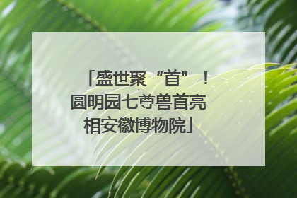 盛世聚“首”！圆明园七尊兽首亮相安徽博物院
