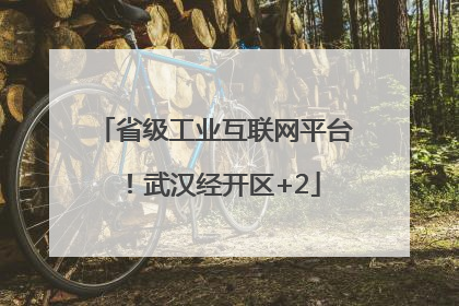 省级工业互联网平台！武汉经开区+2