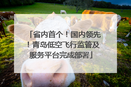 省内首个！国内领先！青岛低空飞行监管及服务平台完成部署