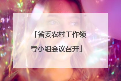 省委农村工作领导小组会议召开