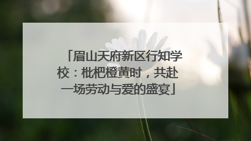 眉山天府新区行知学校：枇杷橙黄时，共赴一场劳动与爱的盛宴