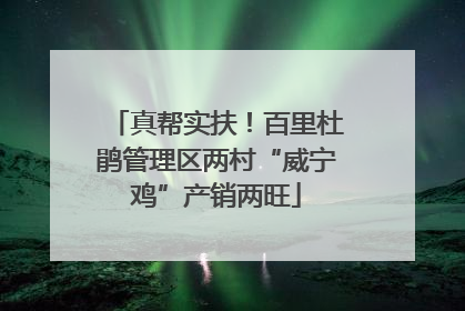 真帮实扶！百里杜鹃管理区两村“威宁鸡”产销两旺